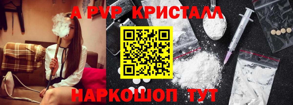 A-PVP СК Курчалой