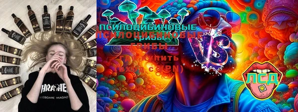 гашик Долгопрудный