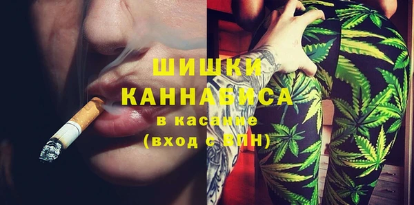 сатива Новый Уренгой