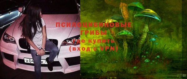 амф Краснослободск