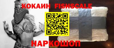 спиды Гай