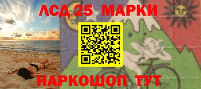 спиды Гай