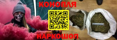ALPHA PVP Гатчина