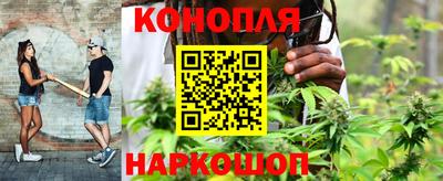 стафф Гагарин