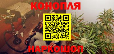 спиды Гай