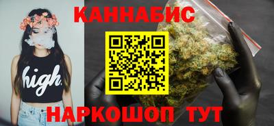 спиды Гай