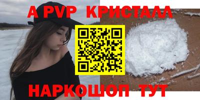 спиды Гай
