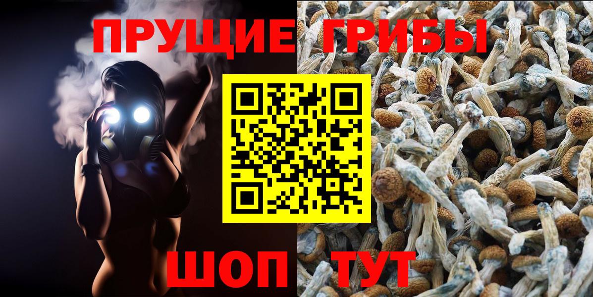 Галлюциногенные грибы MAGIC MUSHROOMS Курчалой