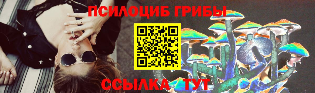 Галлюциногенные грибы Magic Shrooms  Галлюциногенные грибы Psilocybe  Вход с VPN  Курчалой 
